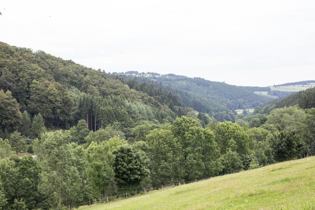 Ferienwohnung Ruhenest Willingen  Luaran gambar
