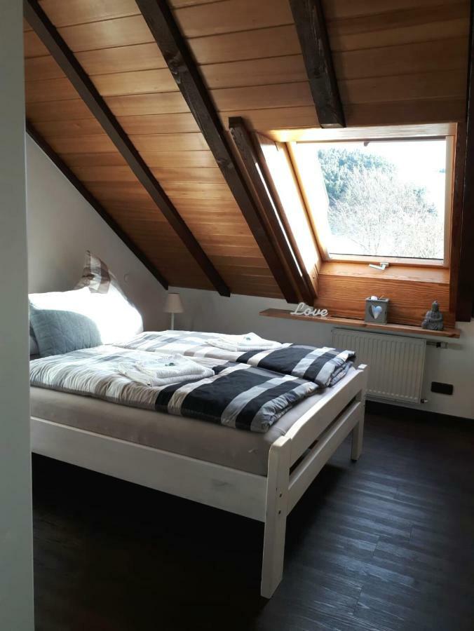 Ferienwohnung Ruhenest Willingen  Luaran gambar